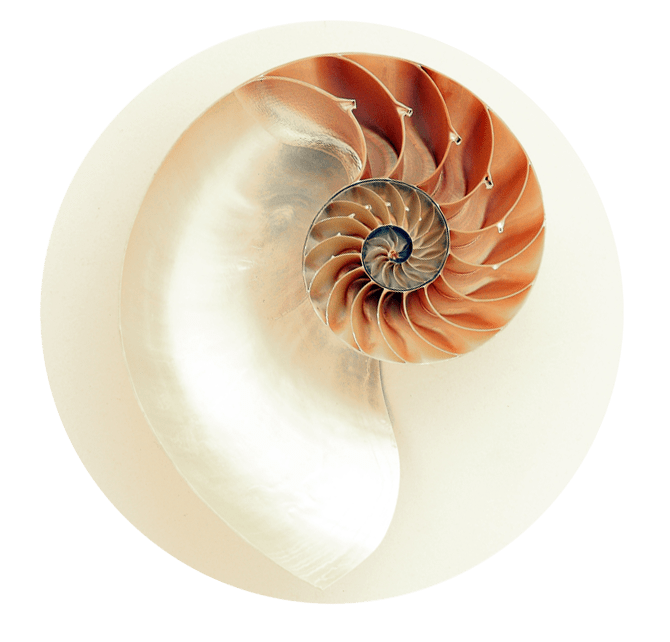 espiral mari carmen escudero
